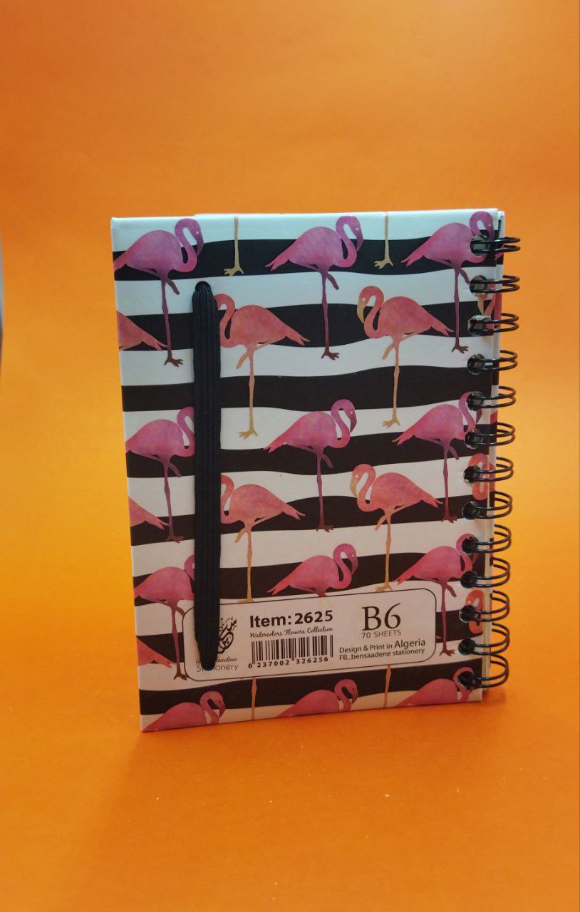 Note Book Pink Flamingo Ben Saadane B6 2625